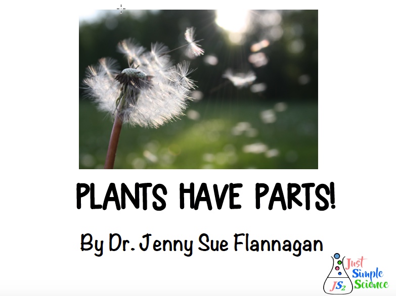 plant parts for kindergarten